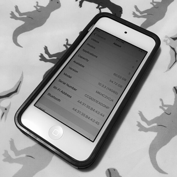 6th Generation iPod Touch 60GB in White With Folksy Print Speck Case - Picture 3 of 13